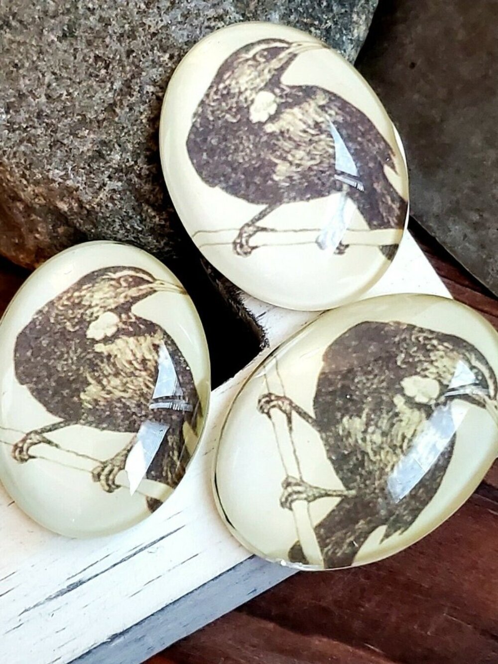 Edgar Allan Poe The Raven Victorian Gothic Bird Glass Oval Cabochon 40x30mm - Picture 4 of 10
